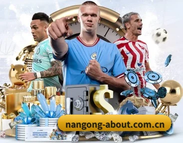 nangong-about.com.cn APP 深度功能